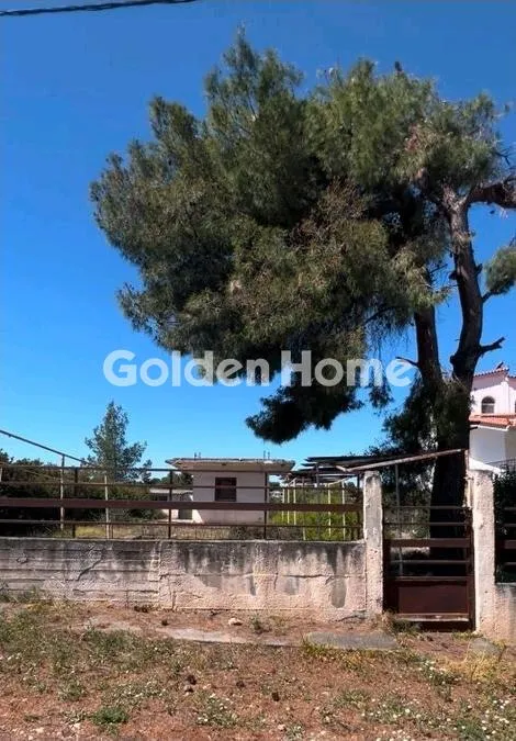 Detached house 41m²  - 3
