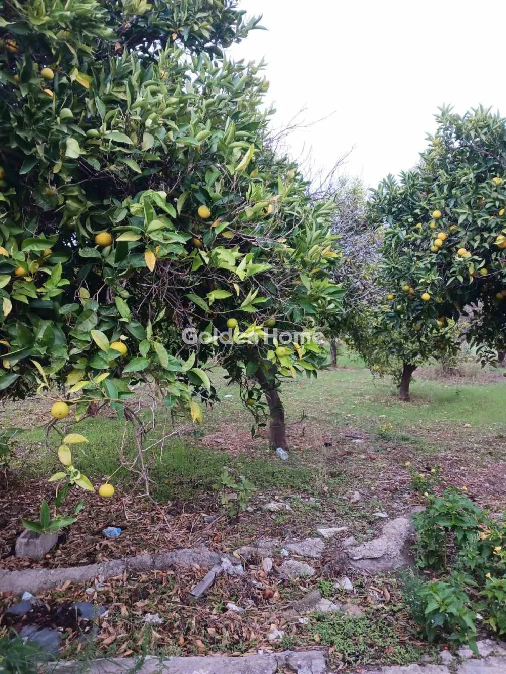 Detached house 150m²  - 2
