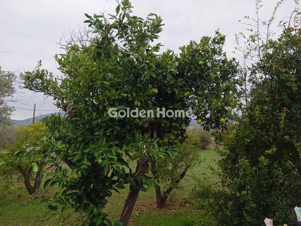 Detached house 150m²  - 3
