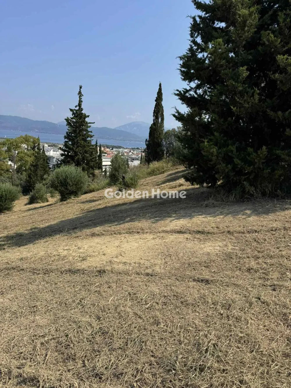 Άλλο.. 12000τ.μ.  - 2