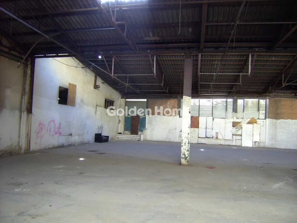 Other .. 1638m²  - 4