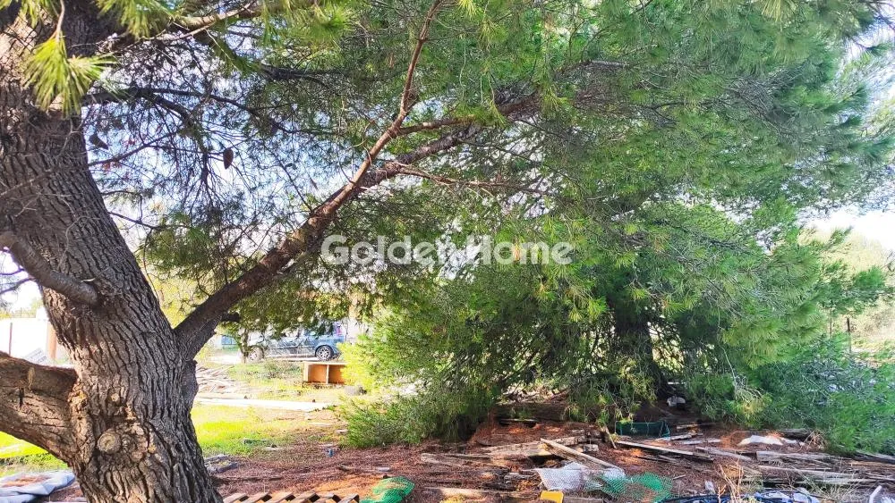 Land Parcel 302m²  - 2