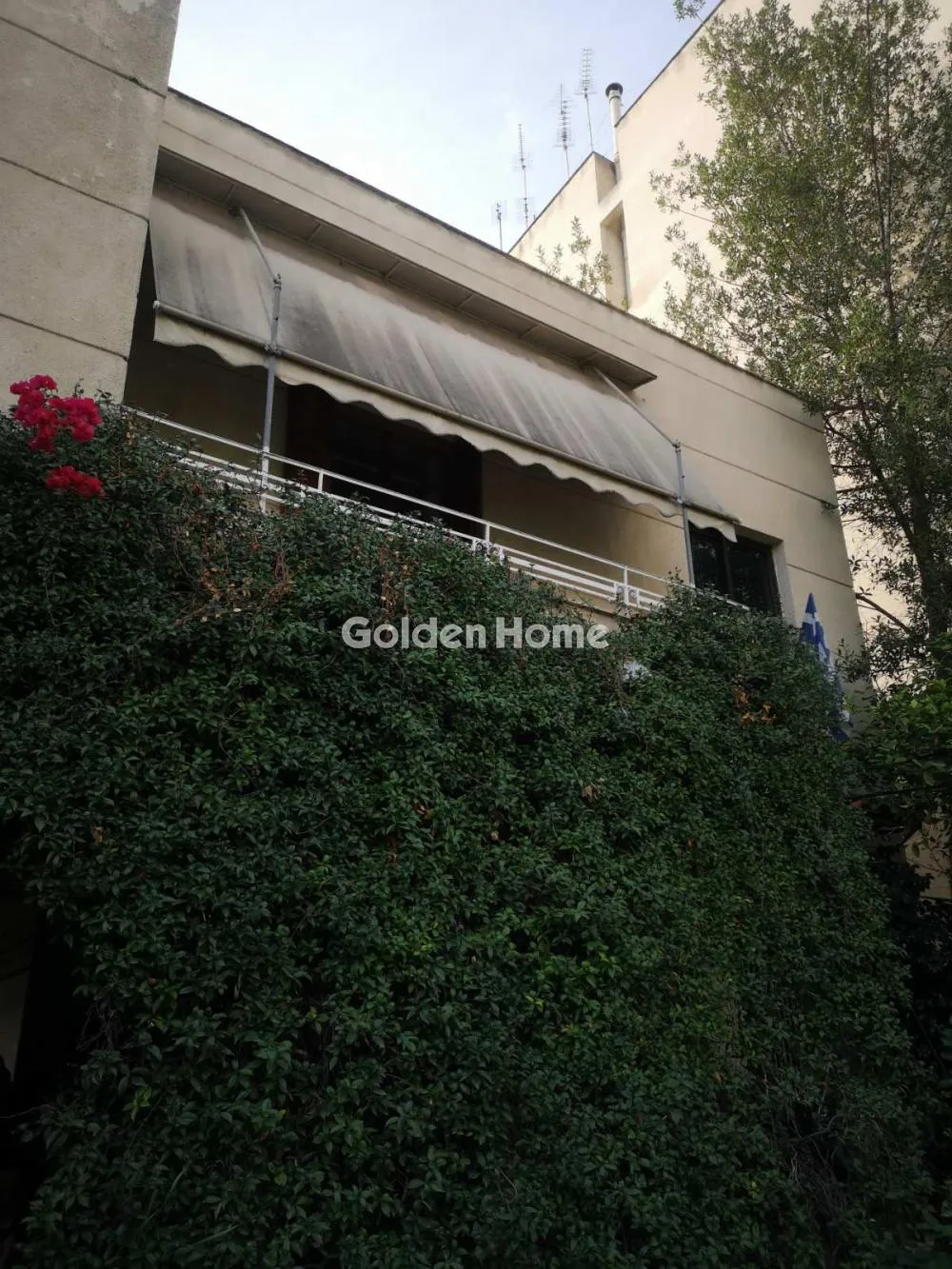 Detached house 290m²  - 2