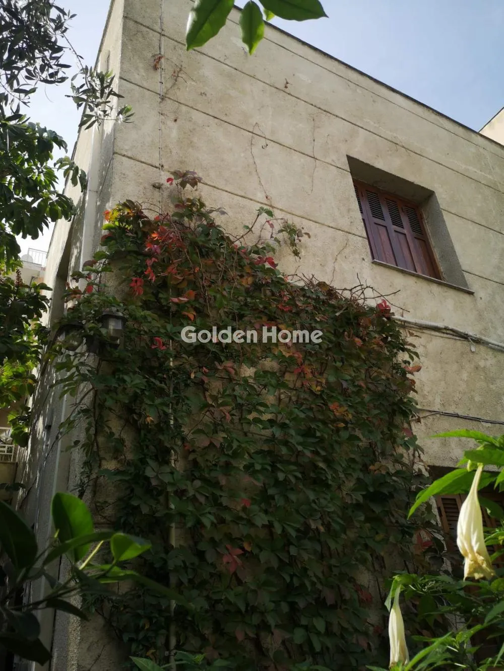 Detached house 290m²  - 3