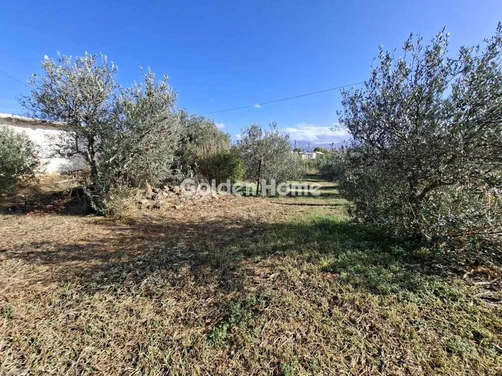 Detached house 115m²  - 4