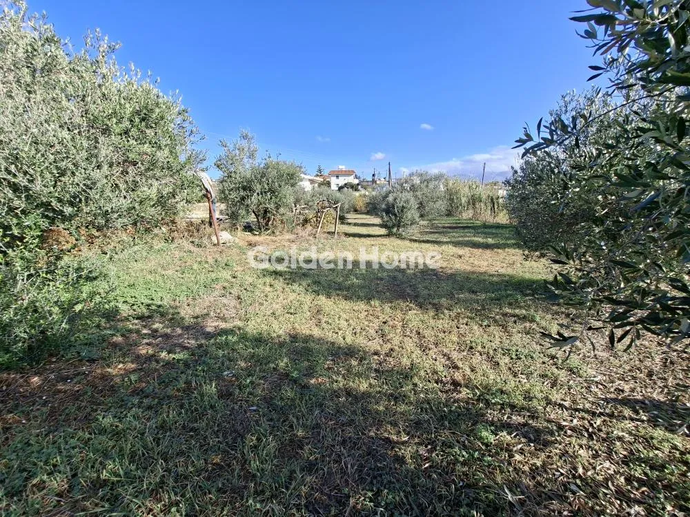 Detached house 115m²  - 5