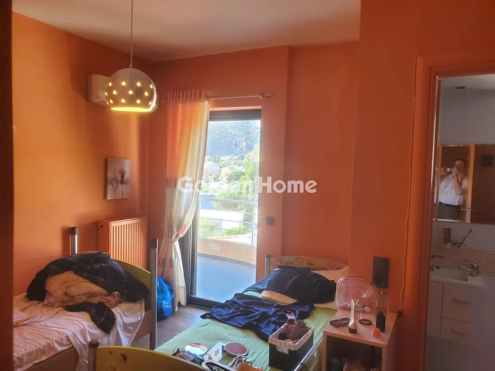 Detached house 350m²  - 5