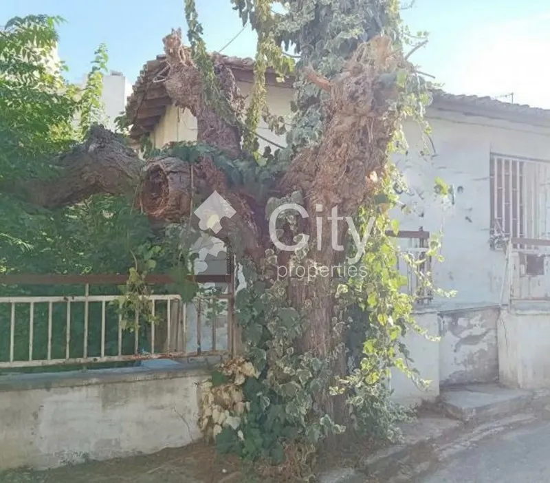 Οικόπεδο 334τ.μ.  - 3