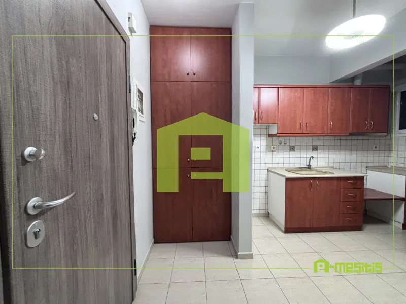 Studio 44m²  - 3