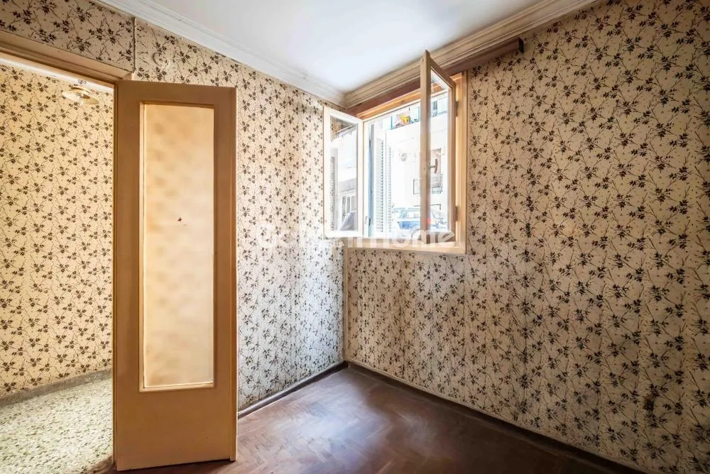 Apartment 51m²  - 3