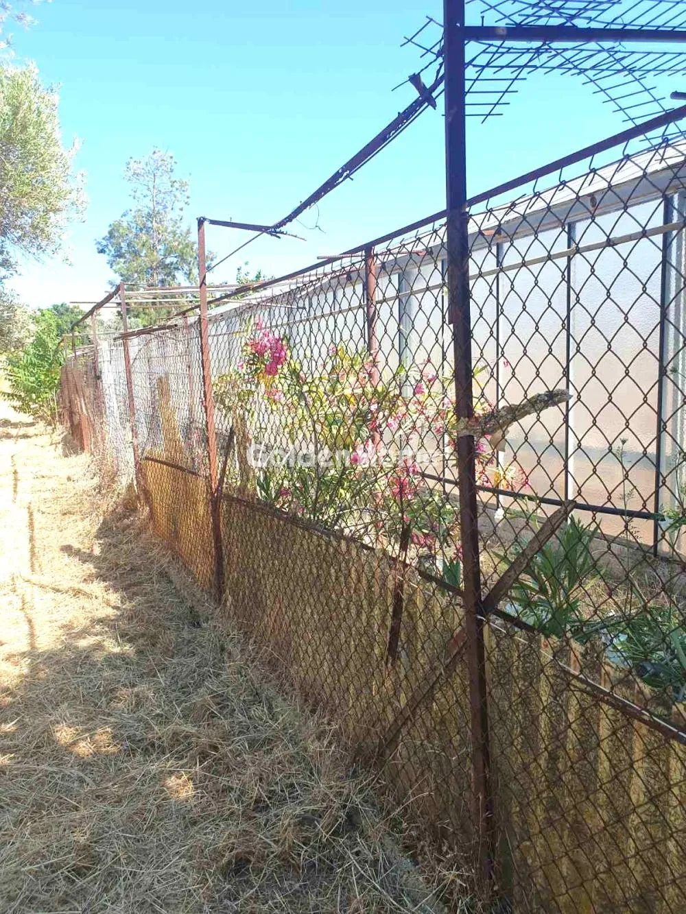 Other .. 2200m²  - 2