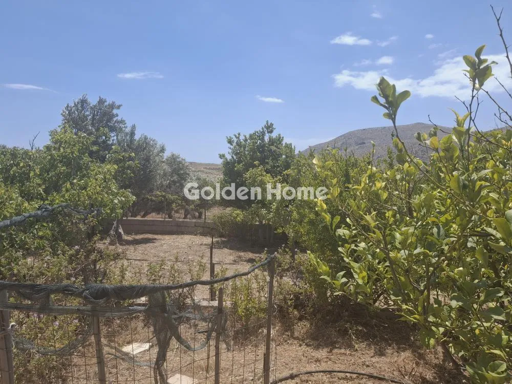Land Parcel 1258m²  - 5