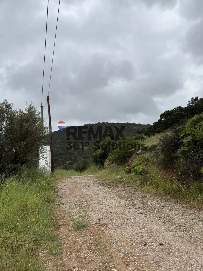 Οικόπεδο 428τ.μ.  - 3
