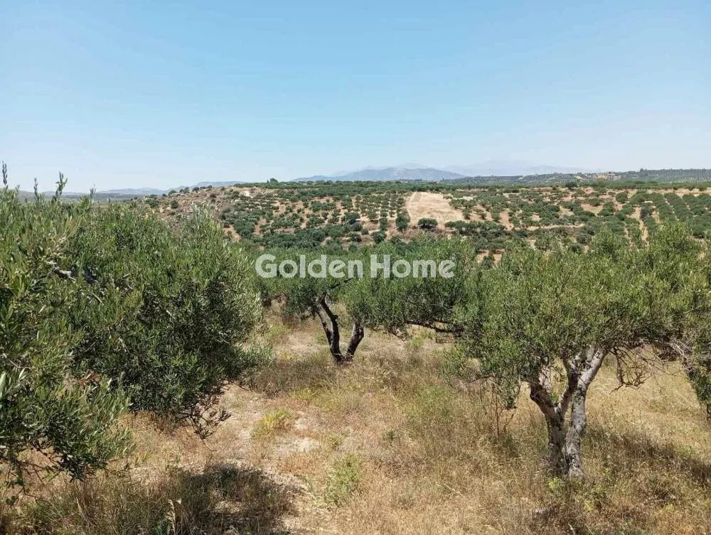 Land Parcel 4000m²  - 3