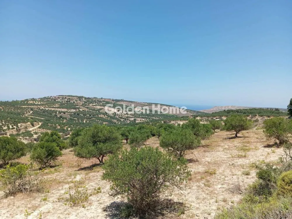 Land Parcel 4000m²  - 5