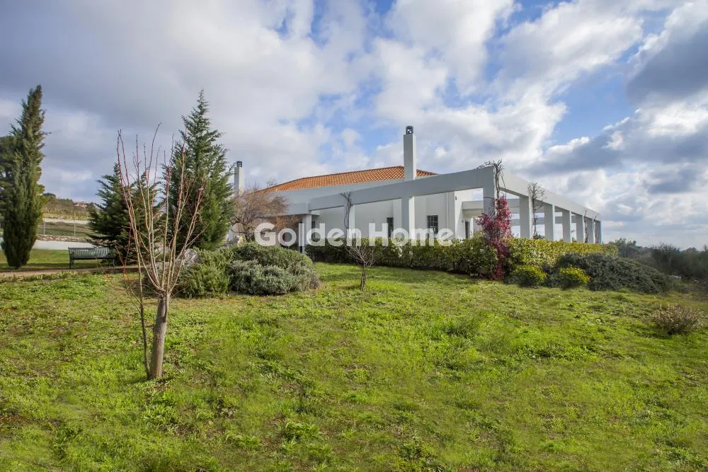 Detached house 300m²  - 3