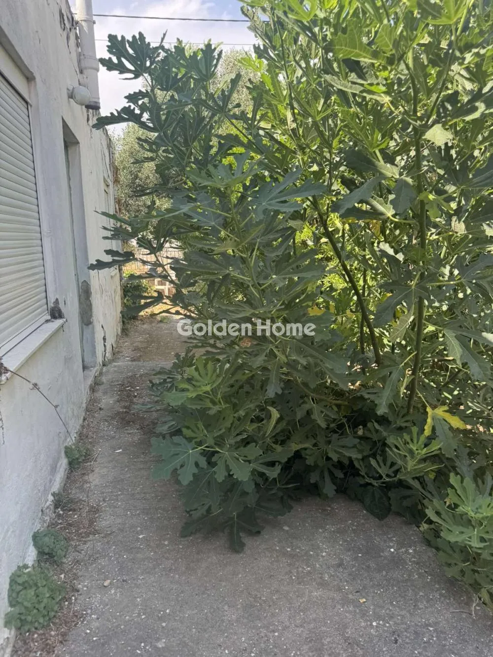Detached house 60m²  - 2