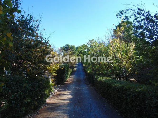 Other ..  720m²  - 3
