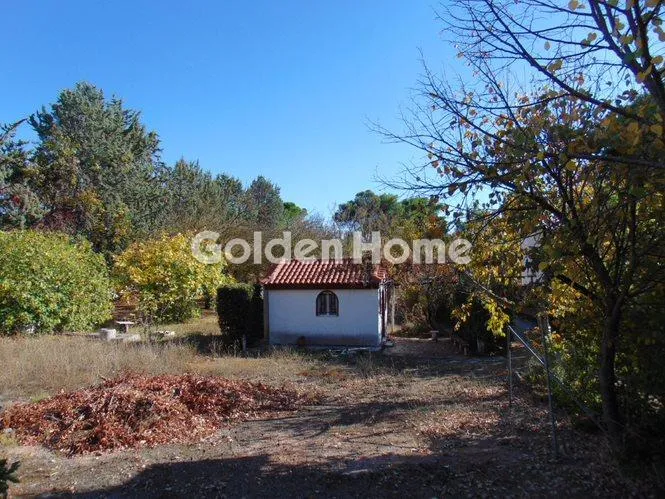 Other ..  720m²  - 5