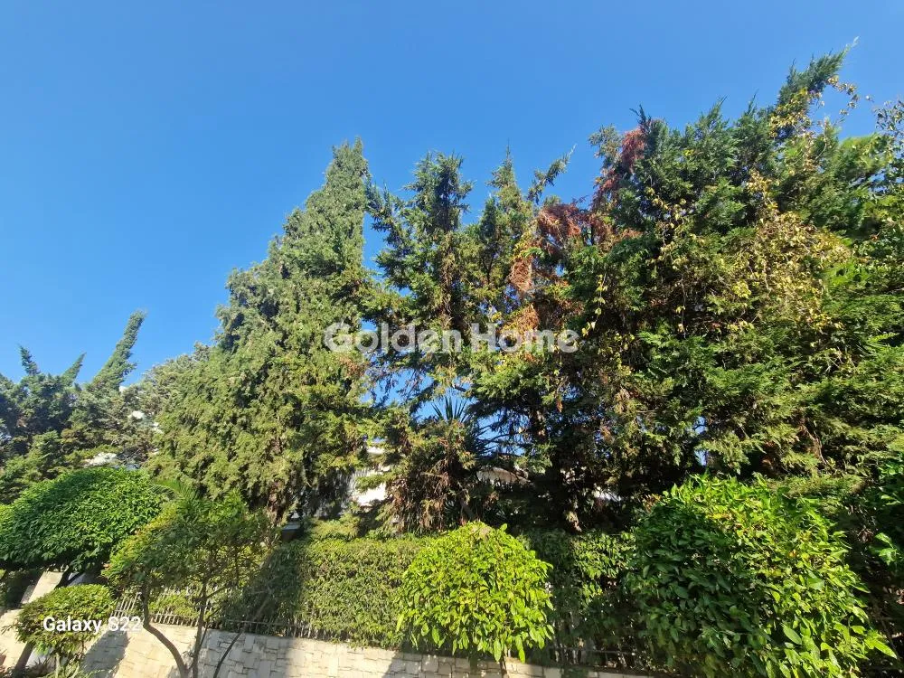 Detached house 200m²  - 5