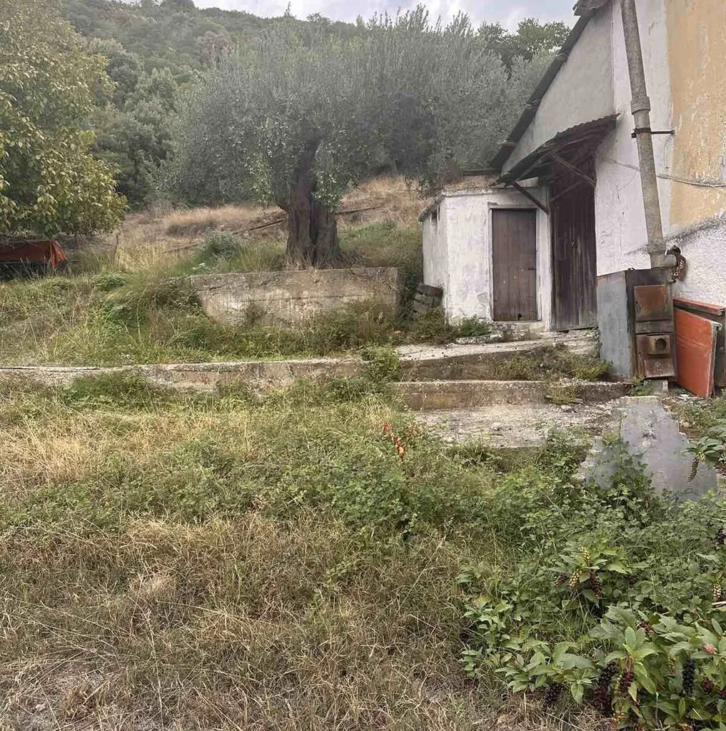 Μονοκατοικία 100τ.μ.  - 4