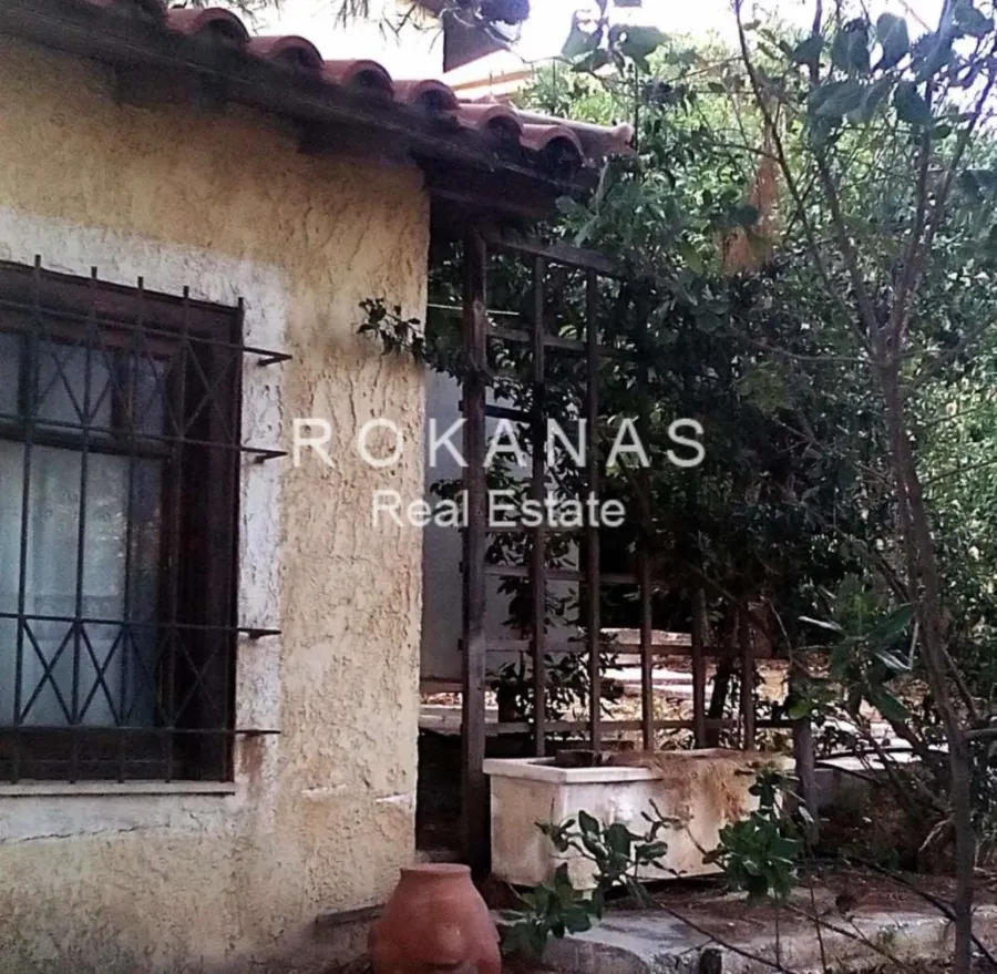 Detached house 150m²  - 5