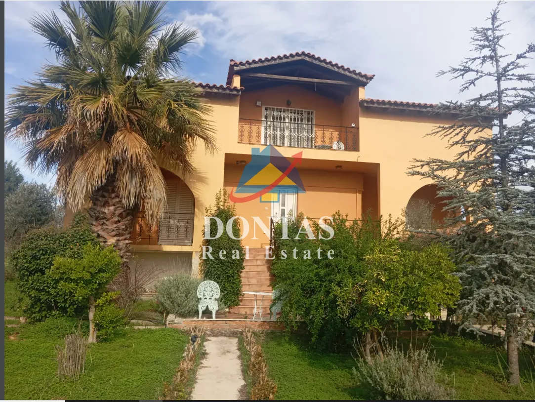 Detached house 313m²  - 2