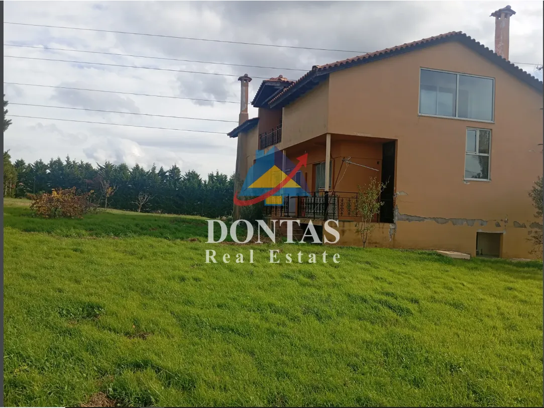Detached house 313m²  - 3