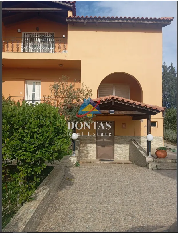 Detached house 313m²  - 4