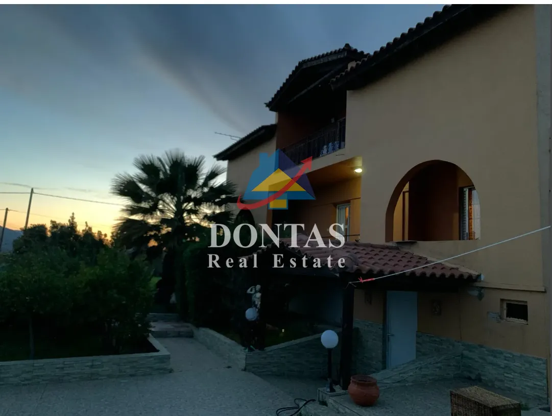 Detached house 313m²  - 5