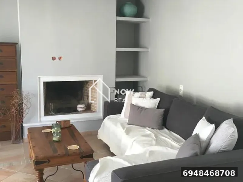 Studio 33m²  - 2