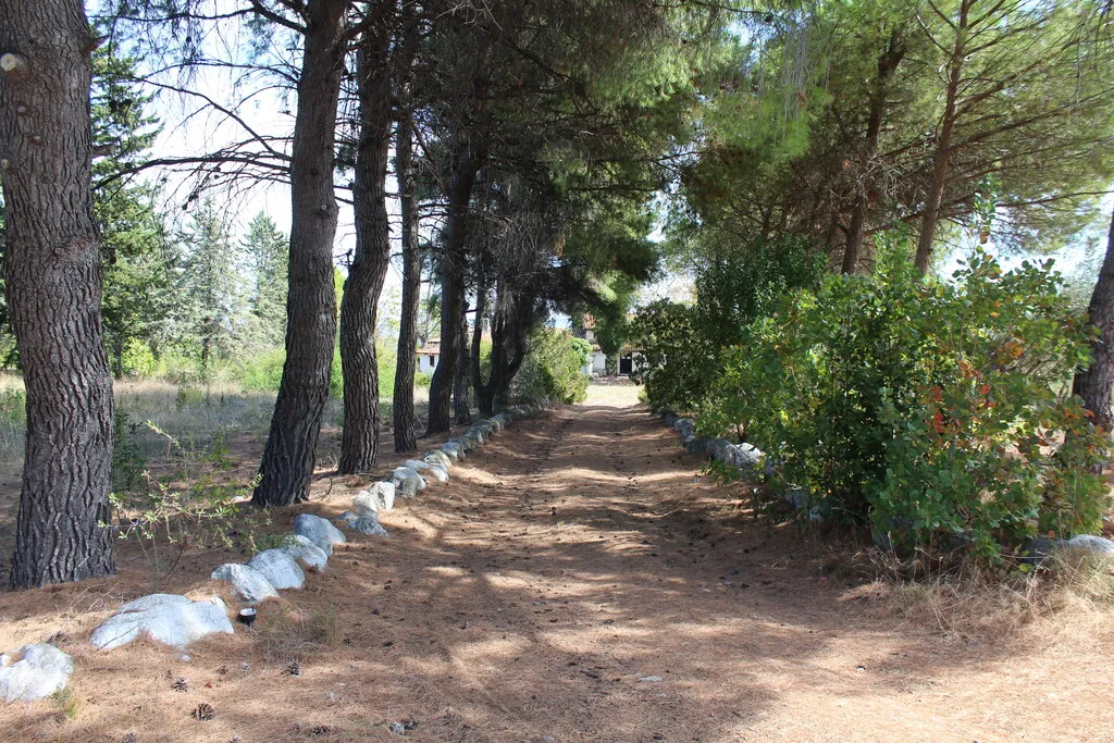 Μονοκατοικία 250τ.μ.  - 5