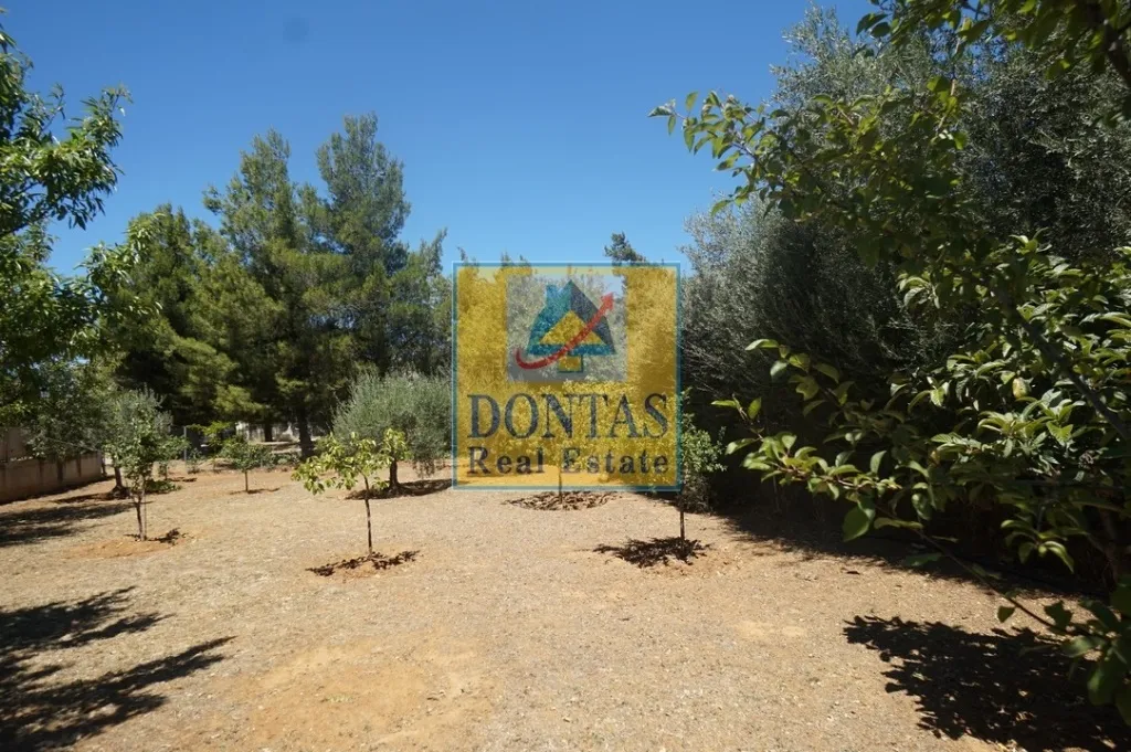 Plot 376m²  - 2
