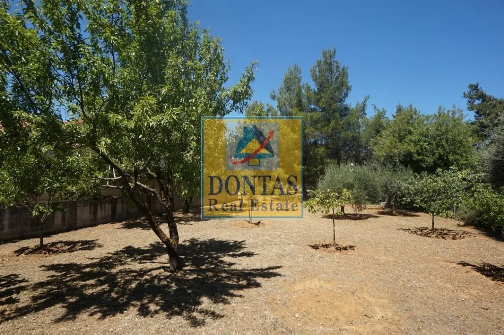 Plot 376m²  - 3