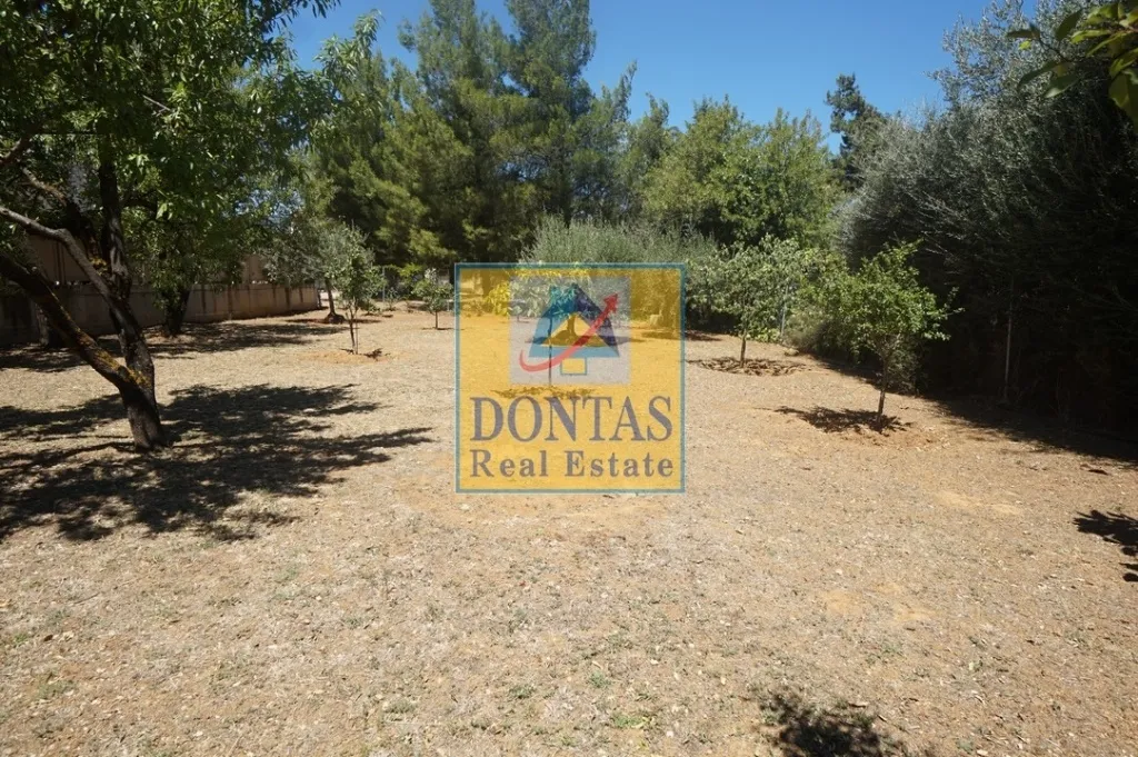 Plot 376m²  - 4