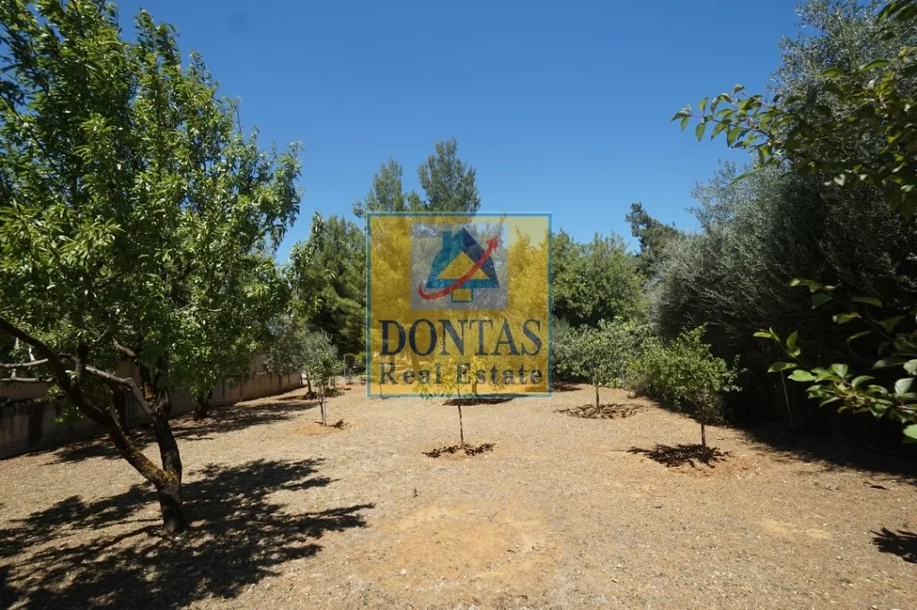 Plot 376m²  - 5