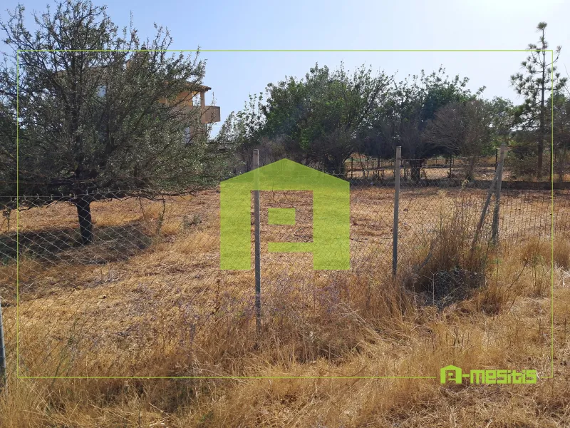 Plot 621m²  - 2