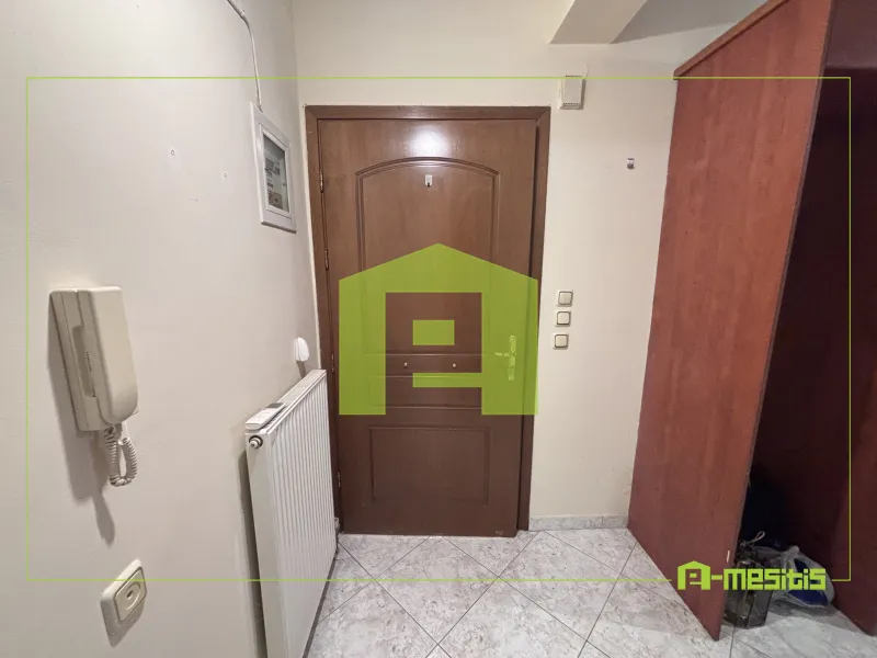 Studio 46m²  - 2