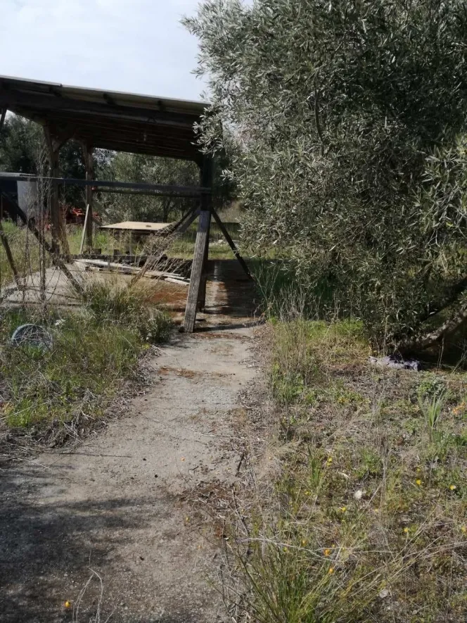 Αγροτεμάχιο 500τ.μ.  - 2