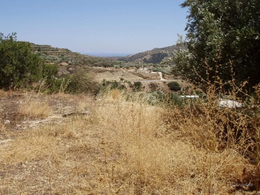 Plot 555m²  - 4