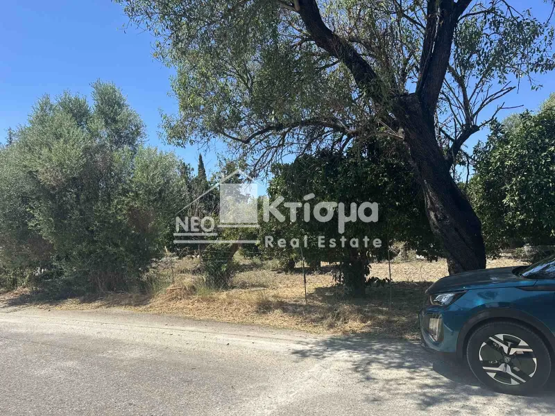 Οικόπεδο 2165τ.μ.  - 2