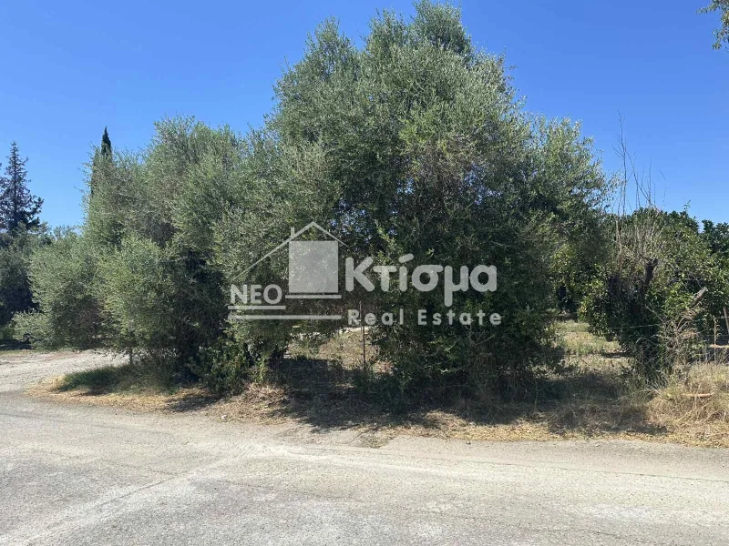 Οικόπεδο 2165τ.μ.  - 3