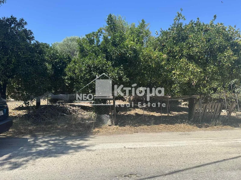 Οικόπεδο 2165τ.μ.  - 5