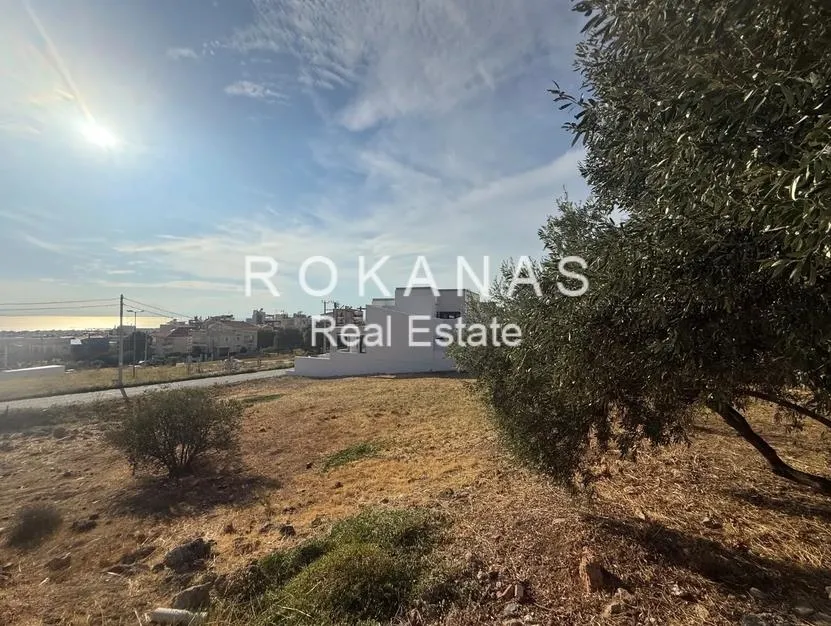 Plot 395m²  - 2