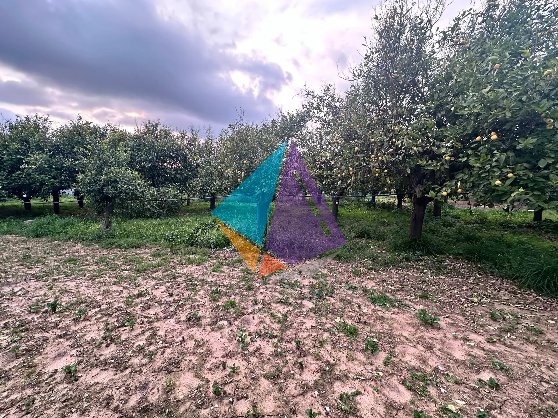 Plot 500m²  - 3