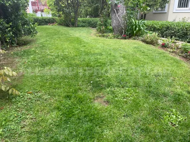 Apartment 165m²  - 3