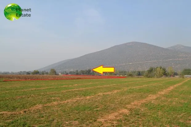 Land Parcel 33000m²  - 3