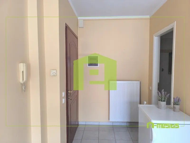 Studio 25m²  - 5