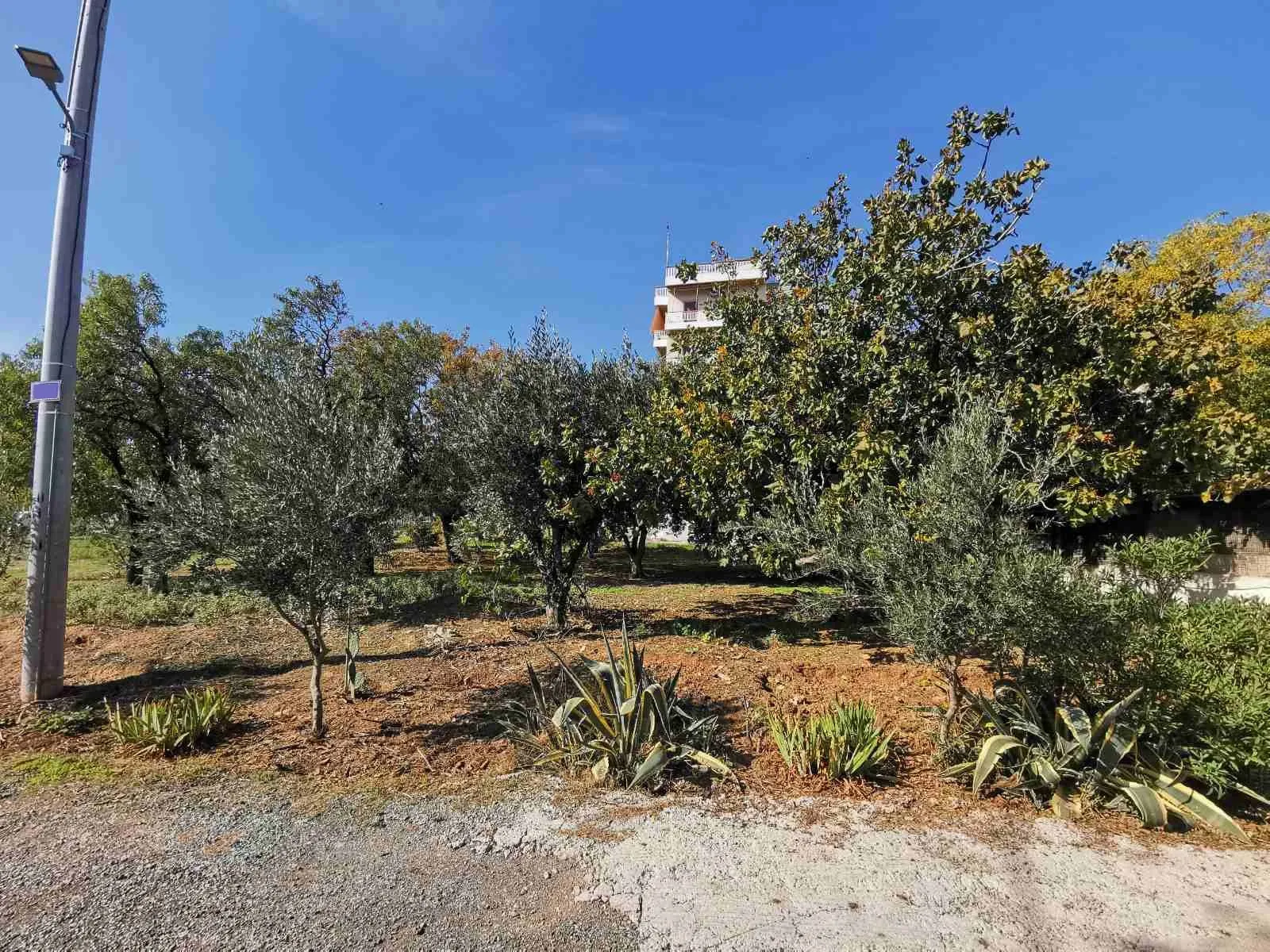 Plot 615m²  - 5