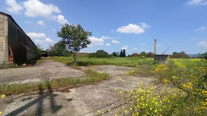 Αγροτεμάχιο 18000τ.μ.  - 4